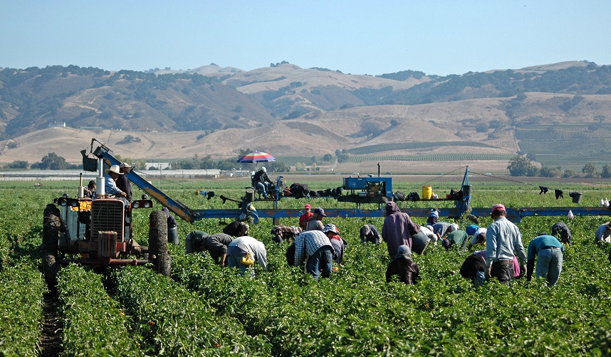 Farm workers in the US